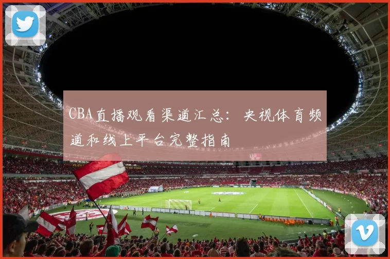 CBA直播观看渠道汇总：央视体育频道和线上平台完整指南