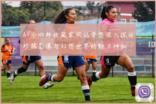 AV小四郎收藏家网站带您深入探访珍稀影像与幻想世界的魅力神秘
