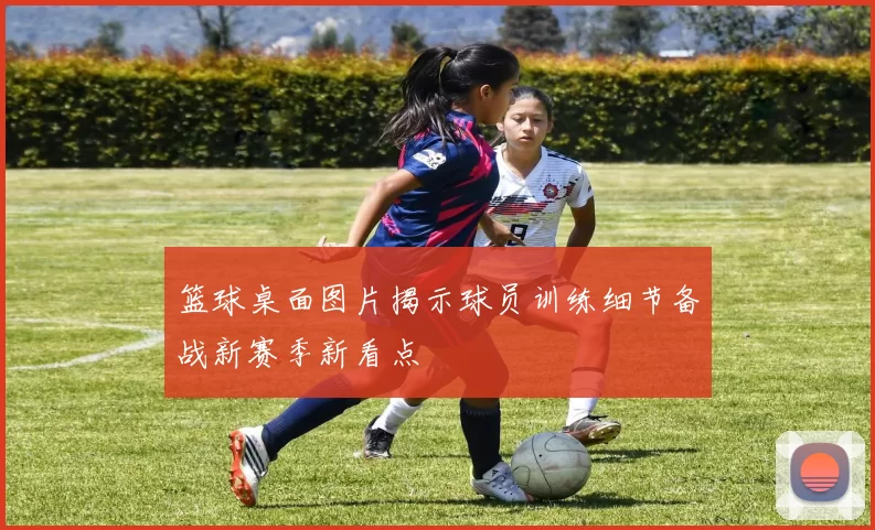 篮球桌面图片揭示球员训练细节备战新赛季新看点